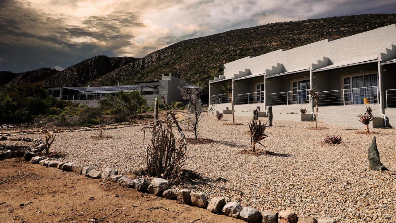 Rooiberg Wild Private Game Reserve Ladismith Esterno foto